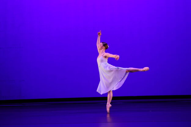 Lenker arabesque